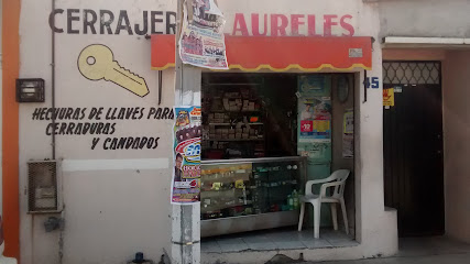 cerrajería Laureles en Celaya